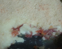 Escondidinho de carne seca com purê de batatas