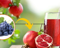 Benefícios do suco de romã com uva: o que acontece com o seu corpo se consumir a bebida e como preparar