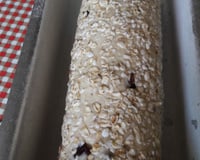 Pão de aveia, quinoa e uvas passas