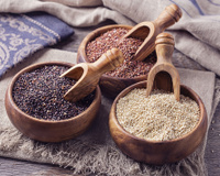 Quinoa: conheça os benefícios desse pequeno grão