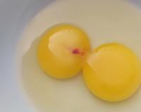 Descubra o que significa uma mancha vermelha na clara do ovo: saiba o que é e se representa algum risco à saúde