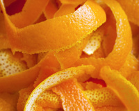 Como tirar as formigas da cozinha: 6 dicas