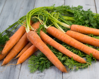 Folhas das cenouras: confira benefícios e receitas