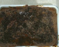 Cobertura de chocolate cremosa