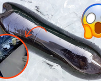 ALERTA! Garrafa PET explode na cozinha e assusta moradores; descubra agora o que aconteceu e como evitar que isso aconteça com você!