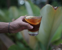 Café com limão emagrece? Entenda o que a união dos ingredientes faz pelo seu corpo