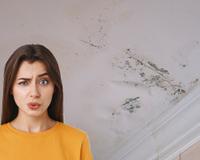Adeus umidade no teto: 4 soluções simples para eliminar o problema no seu banheiro