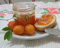 Geleia  de Uvaia da Vó Helena 