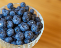 Plantar blueberry sai muito mais barato que comprar no mercado: aprenda a como cultivar essa fruta de forma simples