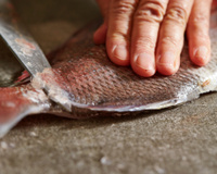 As escamas caem sozinhas: o truque para limpar qualquer peixe em segundos, sem esforço