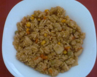 Arroz fácil com carne