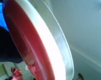 Gelatina com creme