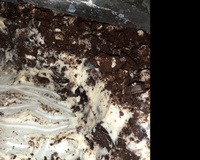 Sobremesa de negresco 