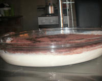 Doce gelado de coco com chocolate