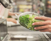 Alface embalada de supermercado, análise laboratorial. Todas as variedades estão contaminadas