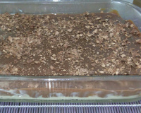 Pavê de chocolate com coco