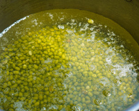 Nem grão-de-bico, nem ervilha: tipo de feijão pouco conhecido é um verdadeiro bálsamo para o coração, intestino e ossos