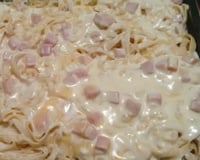 Macarrão com molho branco presunto e mussarela