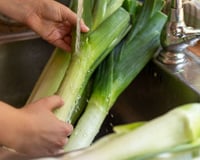 O alho-poró é uma das verduras mais difíceis de higienizar, mas o TudoGostoso te ensina o passo a passo para não errar!