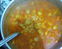 Canja de galinha rápida