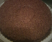 O melhor bolo vulcão