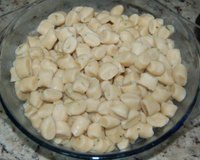 Nhoque para principiantes