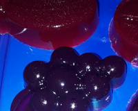 Bala de gelatina tipo fini