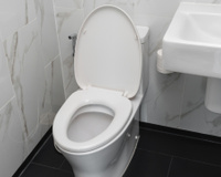 Eu duvido você dar descarga com a tampa do vaso sanitário aberta de novo depois que souber disso aqui