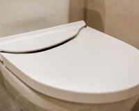 Por que você deve jogar gelo no vaso sanitário uma vez por semana: o truque que os encanadores não contam!