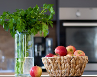 Pouca gente planta, mas essa folha rica em vitamina C e antioxidantes cresce rápido e não dá trabalho