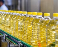 O óleo de cozinha comum que alimenta o câncer de cólon em jovens, segundo novo estudo