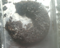 Bolo de chocolate sem farinha de trigo