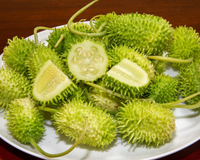 Vegetal esquecido pelos brasileiros ajuda no tratamento de 3 doenças