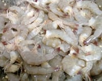 Camarão frito de praia