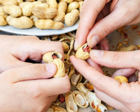 Não jogue fora as cascas de amendoim, elas são um tesouro: para que servem e como reutilizá-las