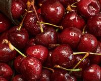 Descubra antes do Natal! 7 frutas clássicas da ceia e seus benefícios que valem por qualquer sobremesa