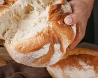 Pão de liquidificador fofinho 