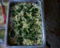 Macarrão ao Presunto e Requeijão light