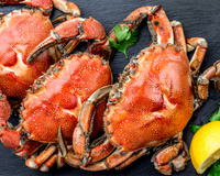 Caranguejo cozido carioca