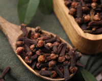 Para que serve mastigar cravo-da-índia? Esses são os benefícios impressionantes desse hábito simples