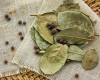 Para que serve a folha de louro: descubra os benefícios do tempero