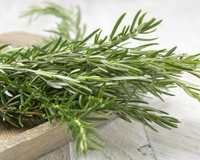 Disse adeus ao alecrim murcho depois que aprendi os 3 melhores truques para cultivar a planta em casa com uma experiente jardineira