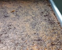 Bolo de cenoura fofinho de verdade