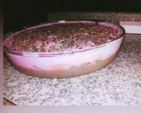 Sobremesa de bis rápida, fácil e deliciosa