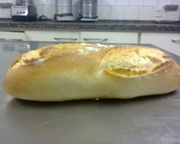 Panhoca com  queijo gorgonzola