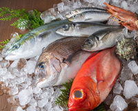 Truque do leite deixa o peixe congelado com sabor de fresco