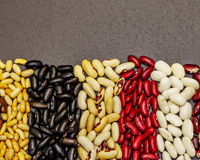 Nem feijão preto, nem feijão vermelho: aqui estão os tipos de feijão que dão menos gases