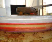 Paleta mexicana na travessa