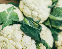 Alimentos da época: 5 legumes e verduras da primavera