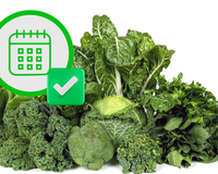 Os benefícios das verduras verde-escuras: descubra por que você comer um desses alimentos todos os dias